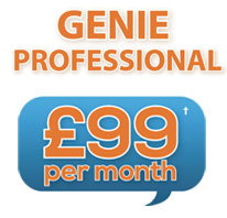 Professional logo